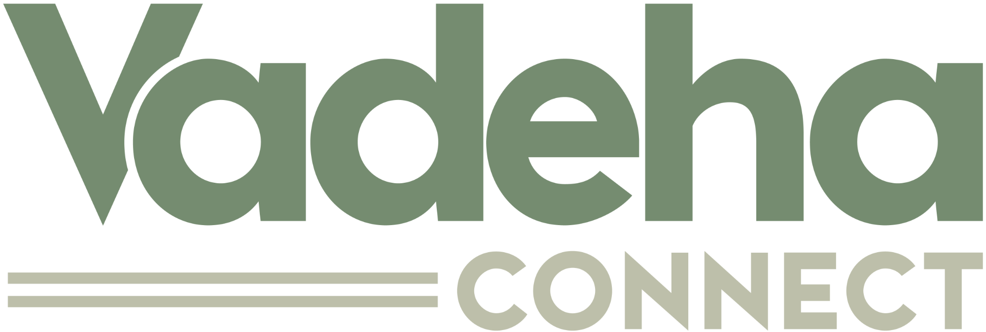 vadeha-logo-4